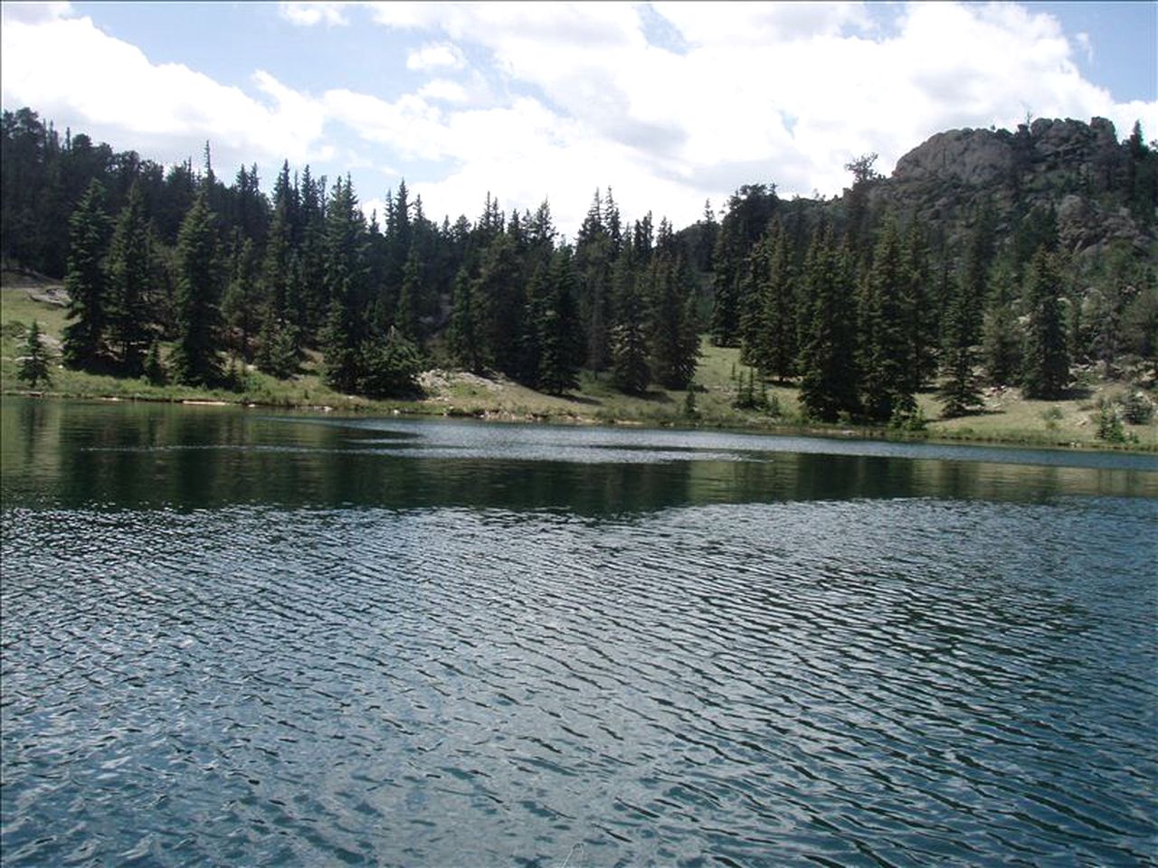 Dream Stream Retreat on the Water in Eleven Mile State Park, Florissant, CO