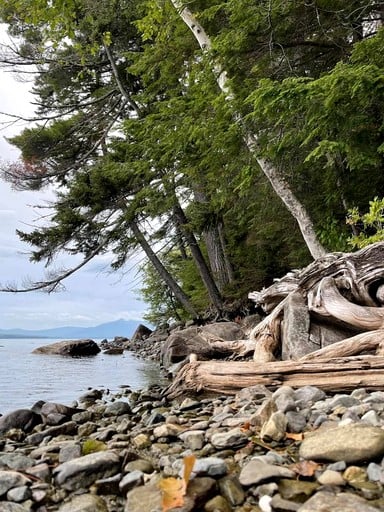 Cabins (United States of America, Beaver Cove, Maine)