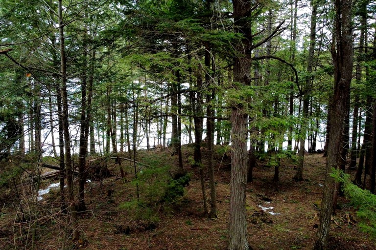 Cabins (United States of America, Beaver Cove, Maine)