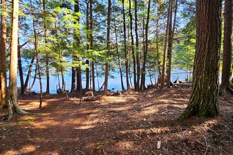 Cabins (United States of America, Beaver Cove, Maine)