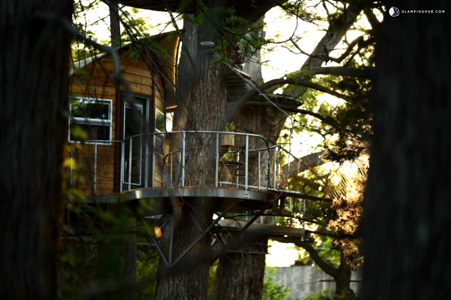 Tree House Rentals near Austin