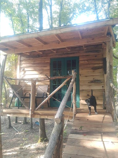 Cabins (United States of America, Grandview, Tennessee)