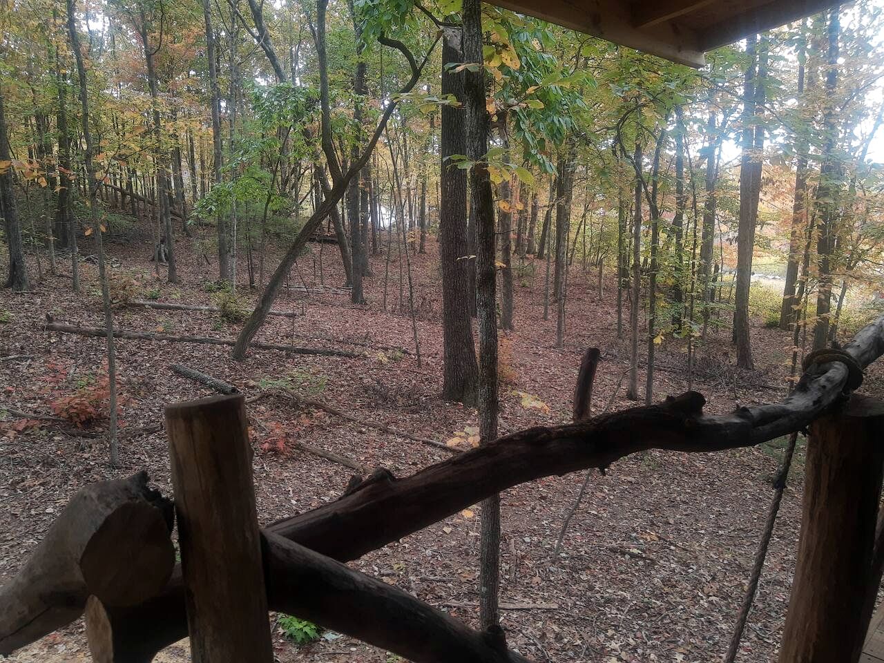 Dreamy Treehouse Cabin Oasis Near Piney River, Tennessee