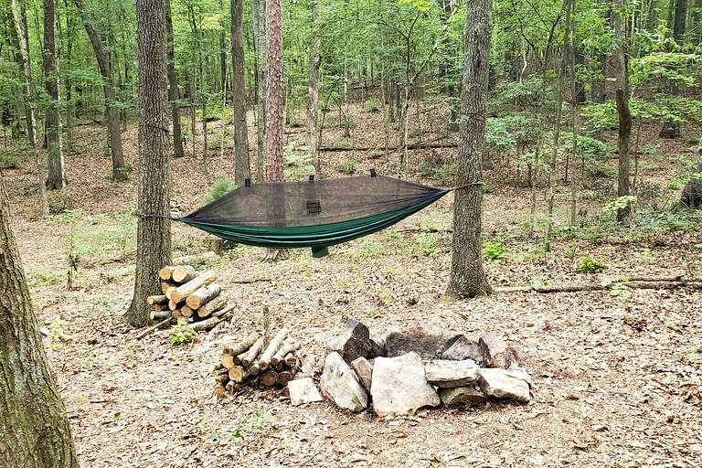 Cabins (United States of America, Grandview, Tennessee)