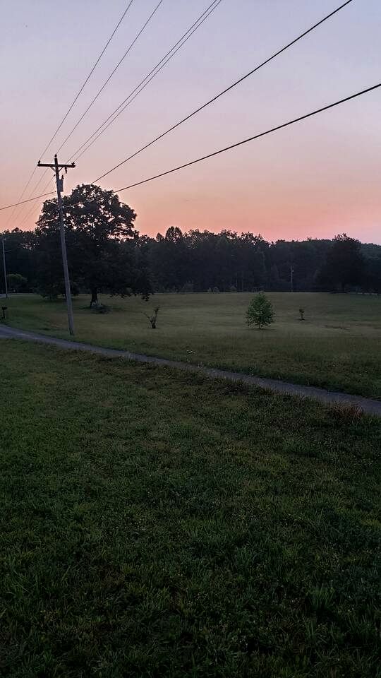 Dreamy Treehouse Cabin Oasis Near Piney River, Tennessee