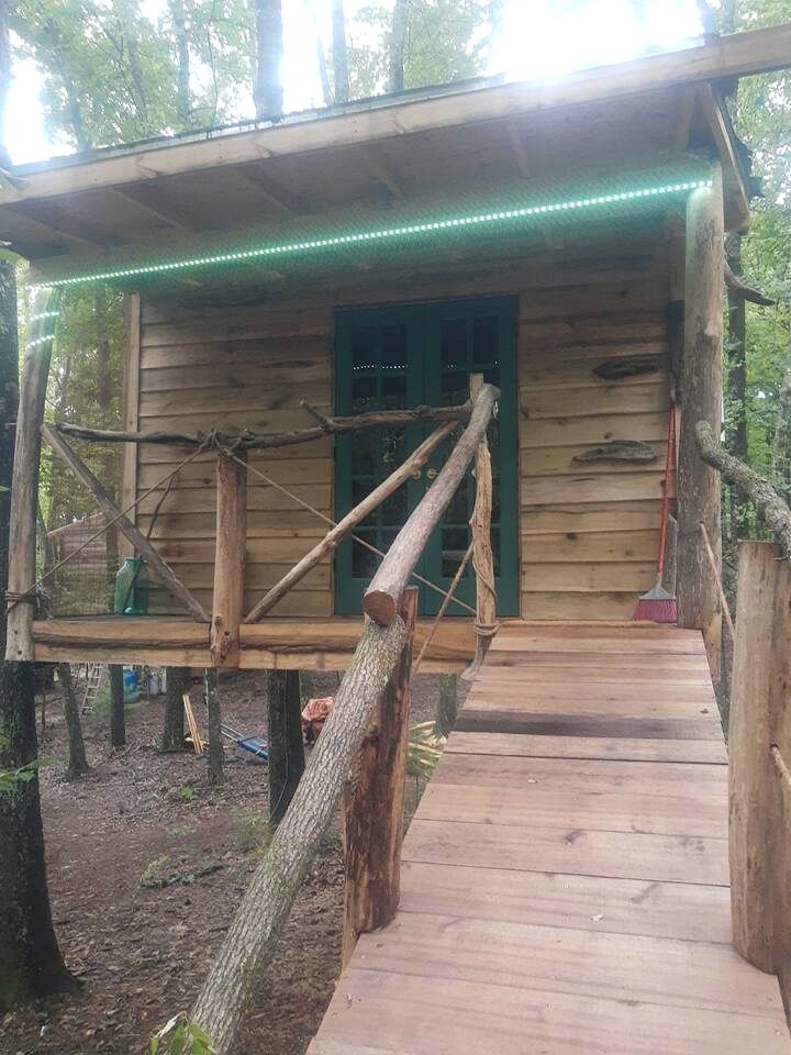 Dreamy Treehouse Cabin Oasis Near Piney River, Tennessee