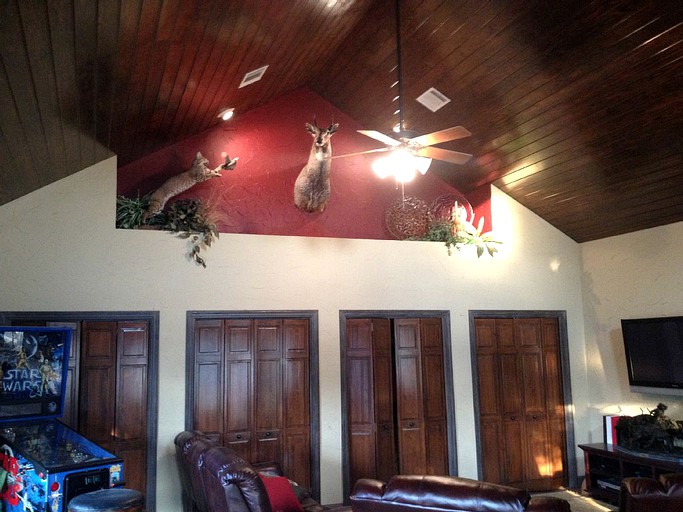 Vacation Rentals (Driftwood, Texas, United States)