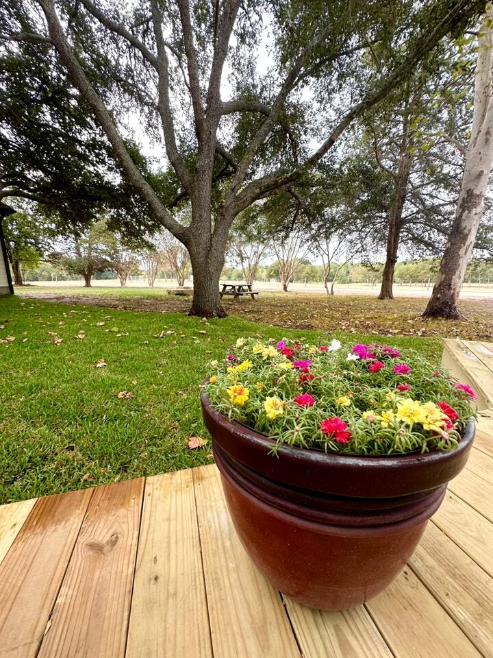 Gorgeous Family Cottage Ideal to Stargaze from the Deck in Texas