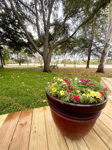 Vacation Rentals (United States of America, Bryan, Texas)