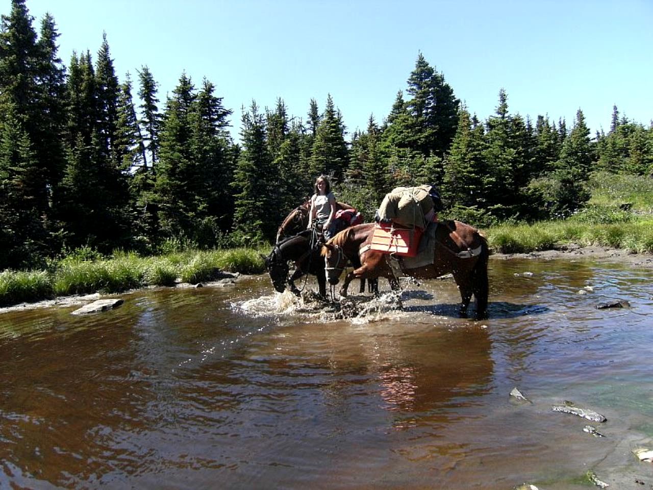 Spacious Accommodation with a Jacuzzi Tub for a Getaway near Fort St. John, British Columbia