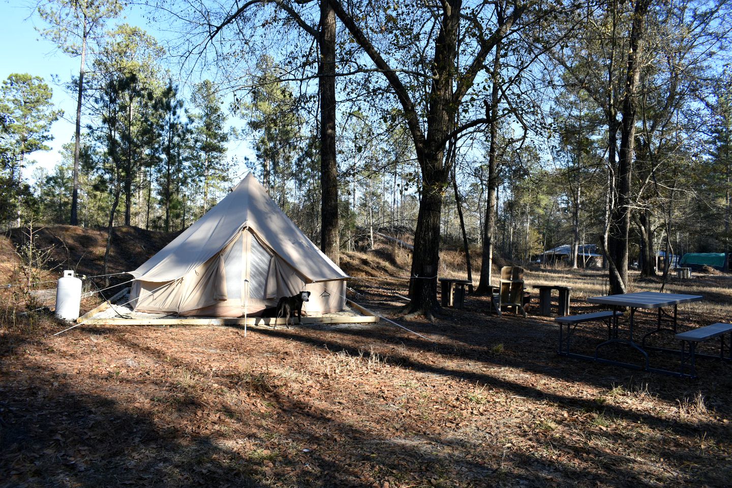 Glamping Under the Stars Bell Tent near Hilton Head