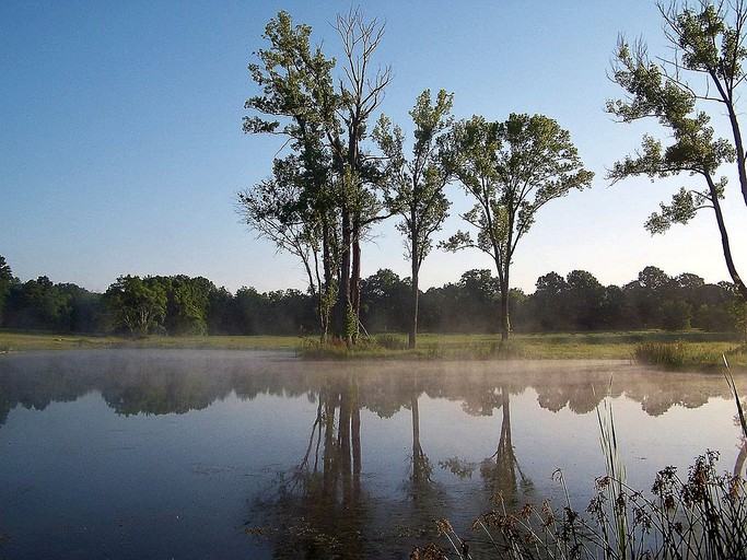 Cabins (Mount Juliet, Tennessee, United States)