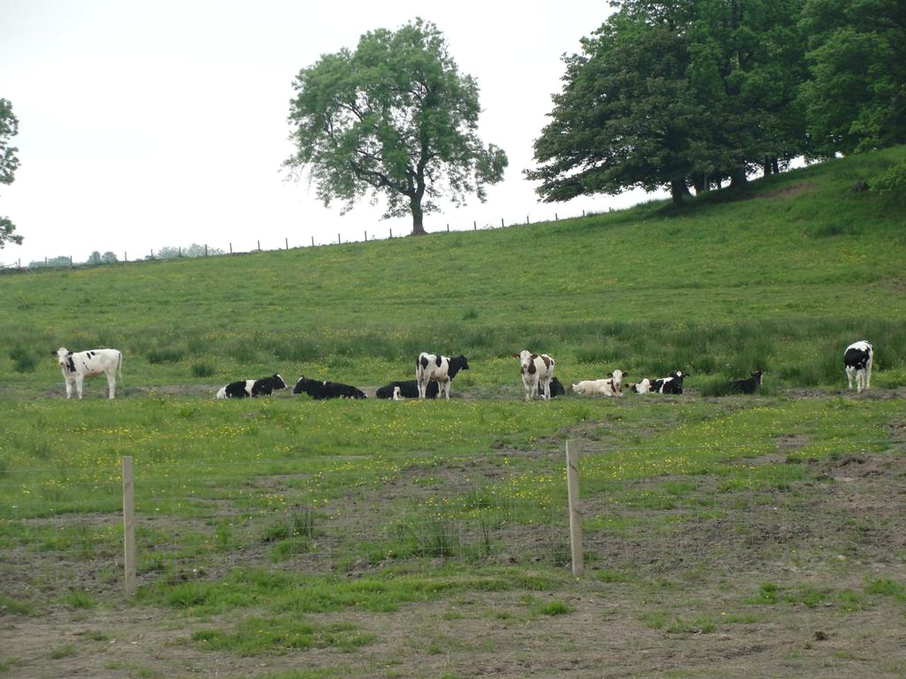 Scenic Holiday Rental for a Romantic Getaway near Loch Lomond, Scotland