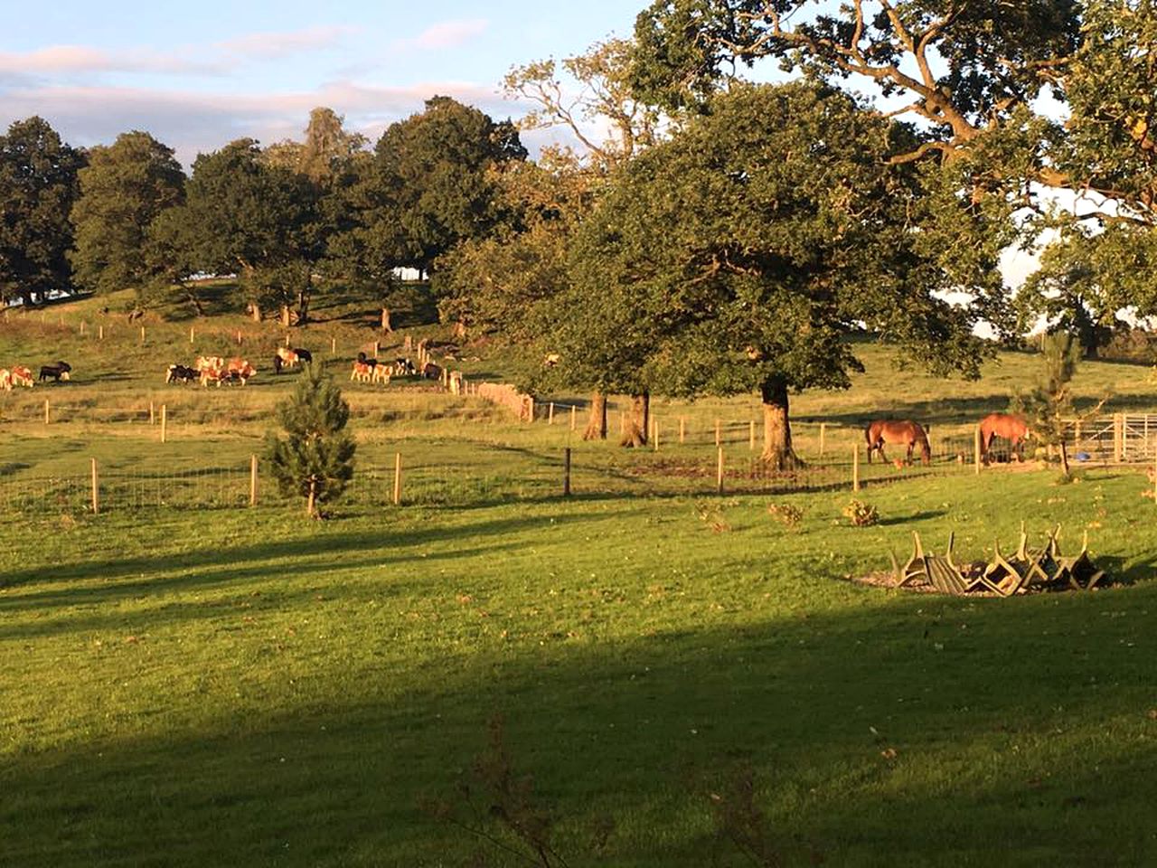 Scenic Holiday Rental for a Romantic Getaway near Loch Lomond, Scotland