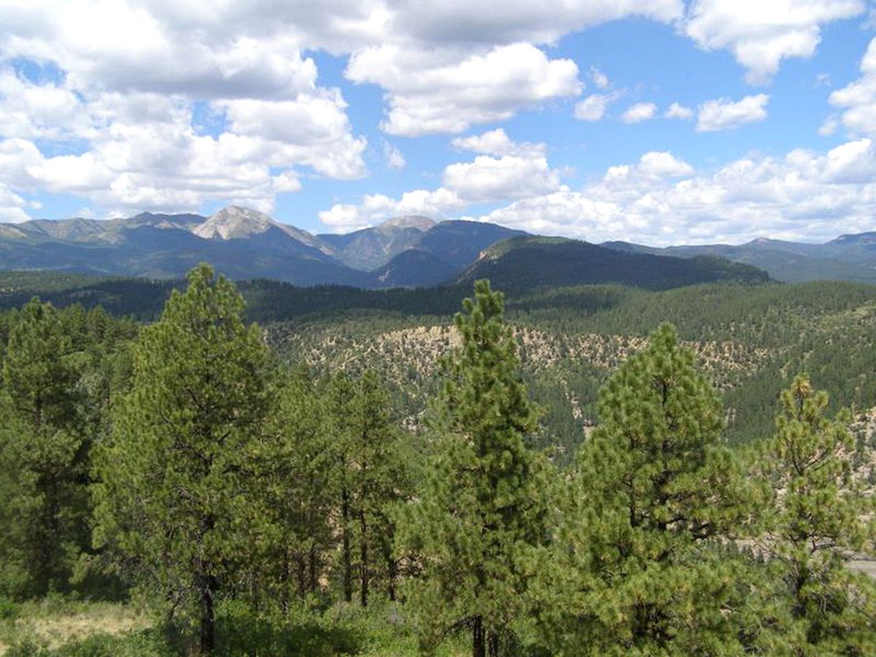 Delightful Cabin Rental with Mountain Views in Durango, Colorado