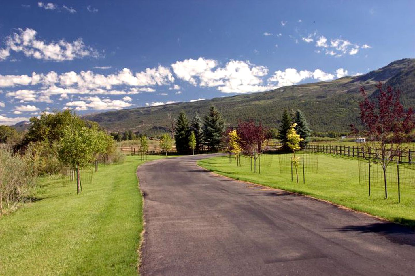 Woodland Log Cabin Rental with Picturesque Ponds near Downtown Durango, Colorado