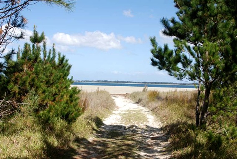 Bell Tents (Kaitaia, North Island, New Zealand)