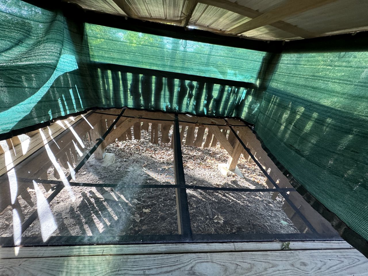 Adventurous Family-Friendly Riverside Glamping Nests with Trampoline Beds near Big Niangua River, Macks Creek, Missouri