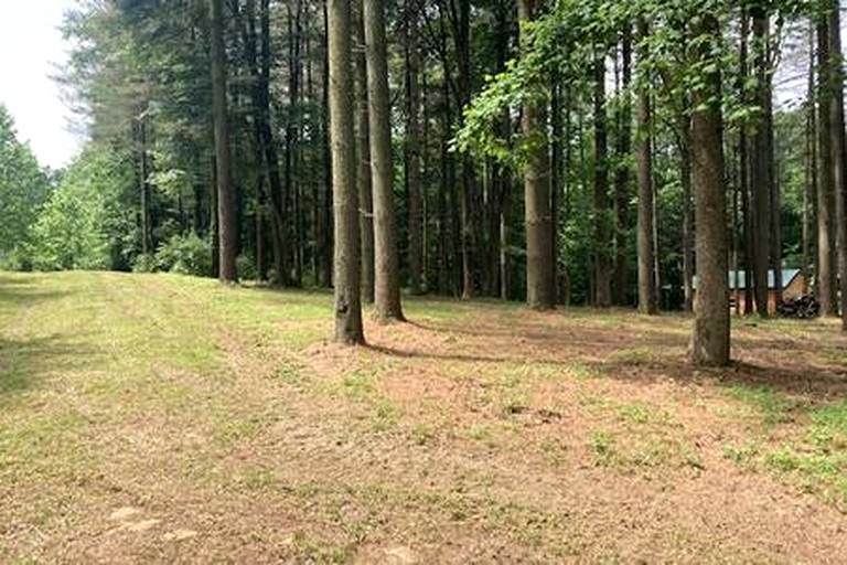 Cabins (United States of America, --, --)