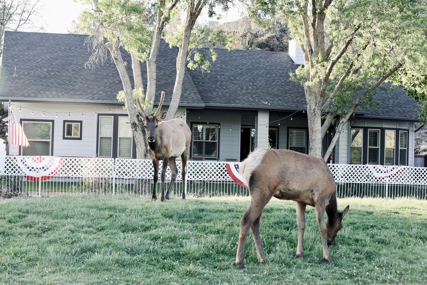 Charming Golf Course Escape with Scenic Views & Game Room Near Payson, AZ