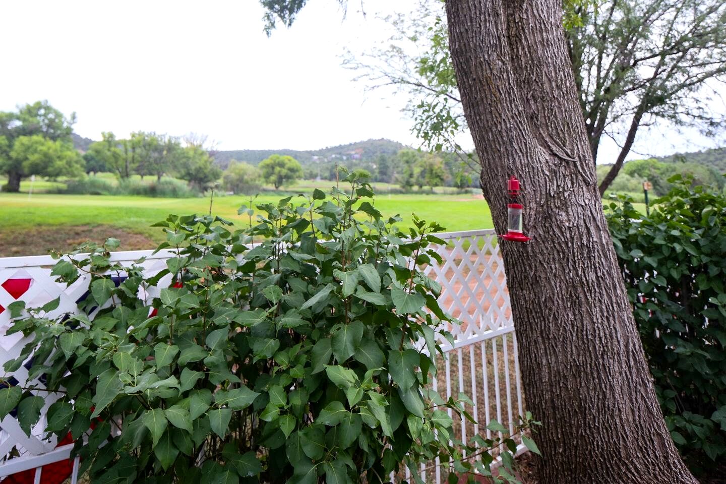 Charming Golf Course Escape with Scenic Views & Game Room Near Payson, AZ