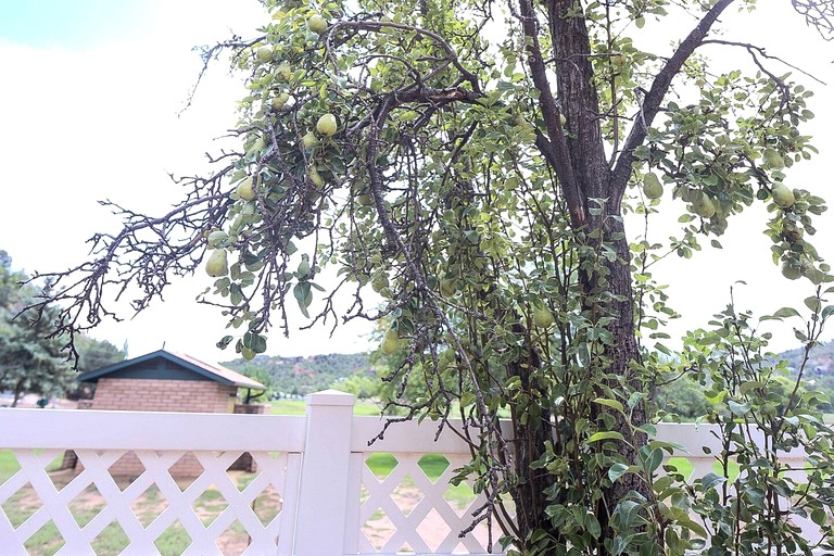 Vacation Rentals (United States of America, Payson, Arizona)