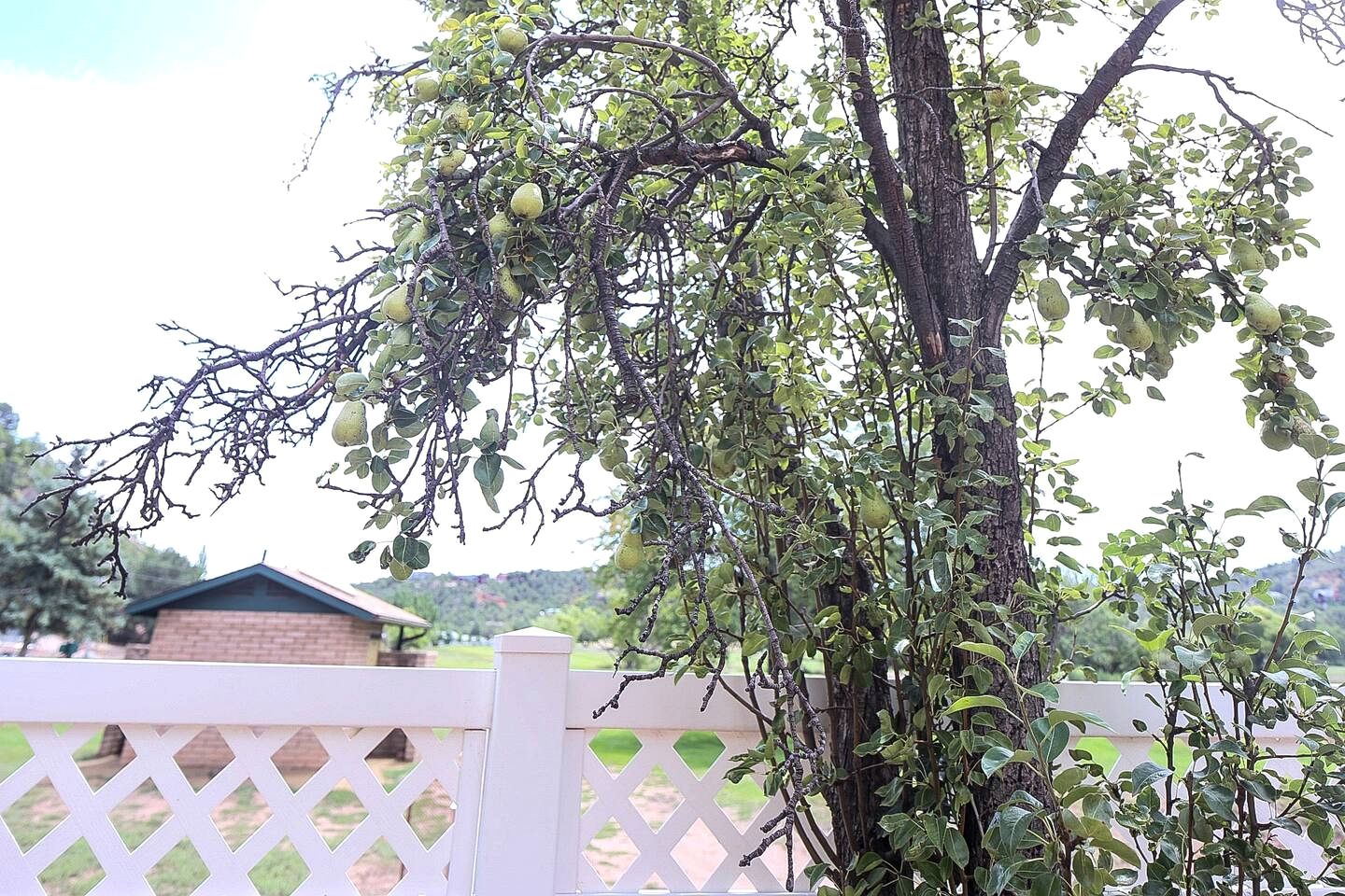 Charming Golf Course Escape with Scenic Views & Game Room Near Payson, AZ