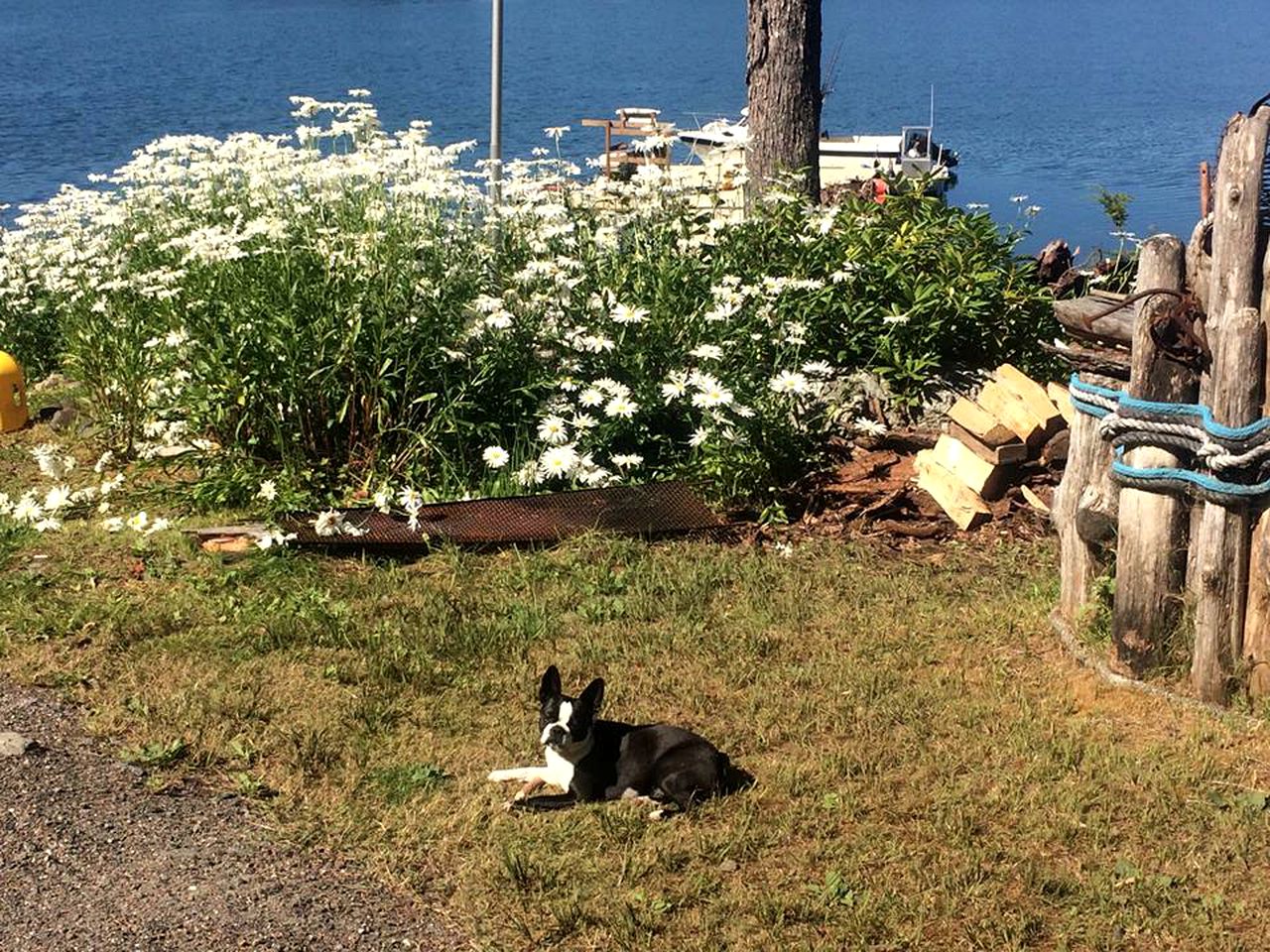 Charming Room Rental with Meals Included for Fishing Getaway on Prince of Wales Island, Alaska