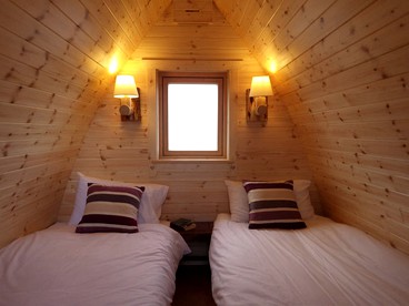 Majestic Pod Rental for a Glamping Getaway in the Forest near Westport, Mayo photo 5