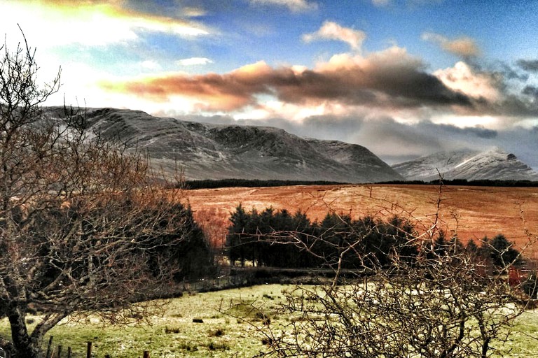 Pods (Westport, County Mayo, Ireland)