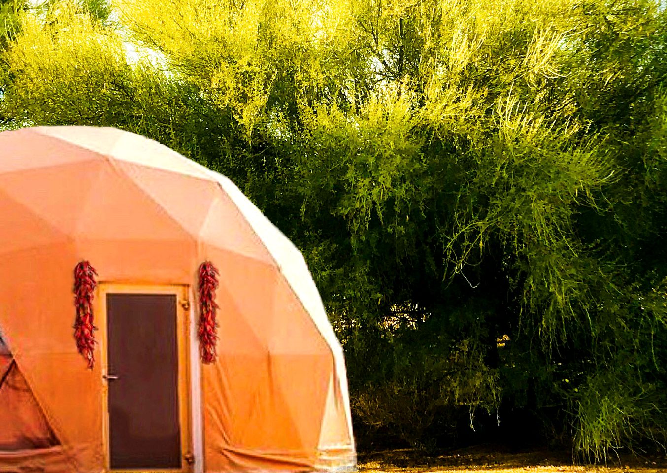 Eco-Friendly Dome for a Relaxing Wellness Retreat in Tucson, Arizona