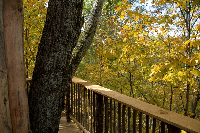 Tree Houses (Germantown, Kentucky, United States)