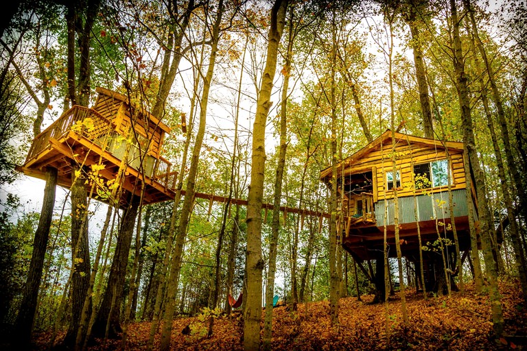 Tree Houses (Germantown, Kentucky, United States)