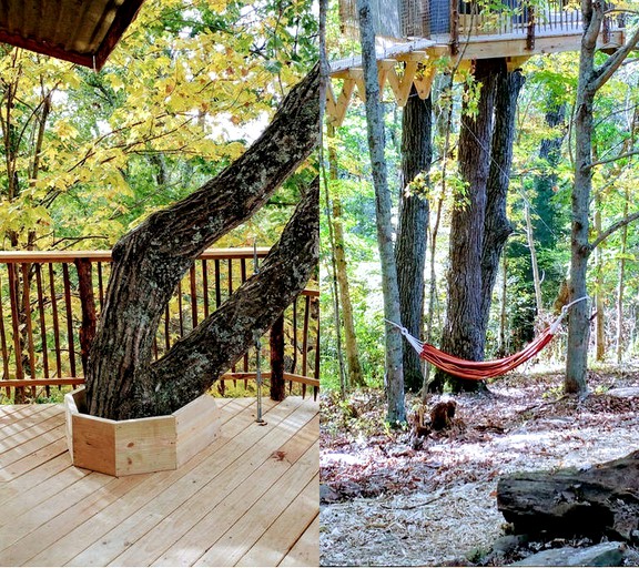 Tree Houses (Germantown, Kentucky, United States)