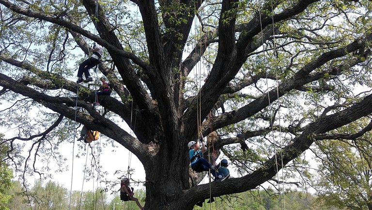 Tree Houses (Germantown, Kentucky, United States)