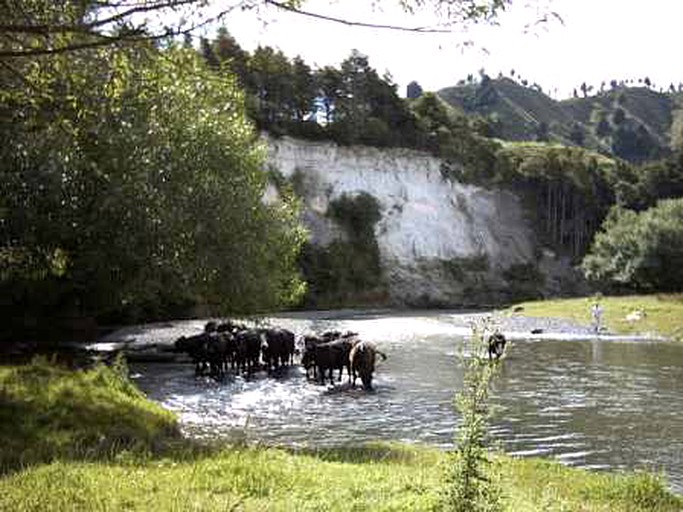 Cottages (Taumarunui, North Island, New Zealand)