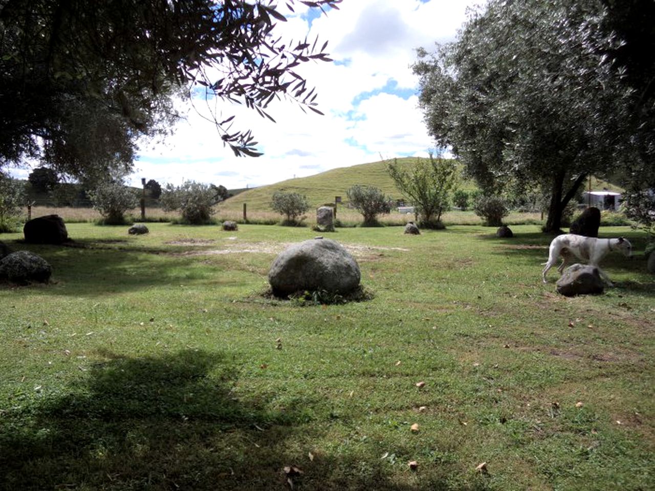 Idyllic Cottage Rental on a 400-Acre Farm in Taumarunui, North Island