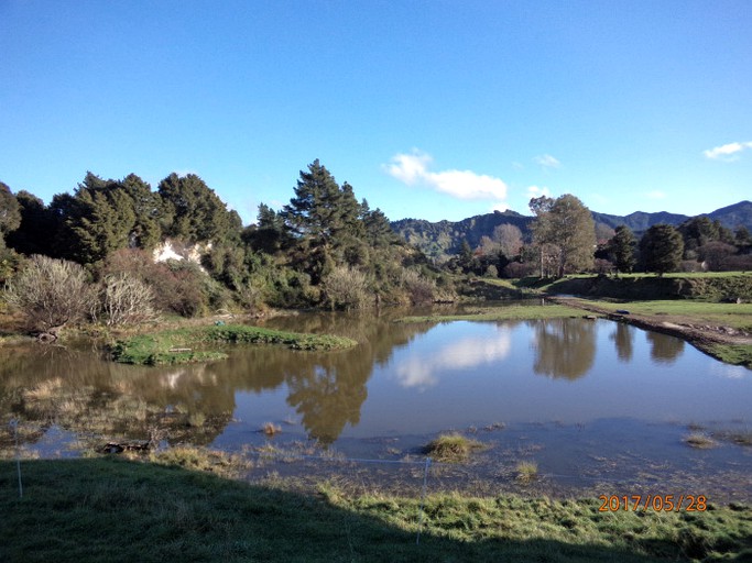 Cottages (Taumarunui, North Island, New Zealand)