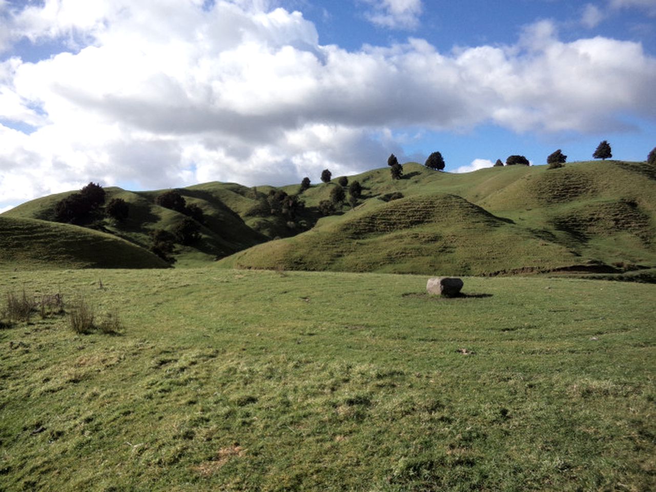 Idyllic Cottage Rental on a 400-Acre Farm in Taumarunui, North Island