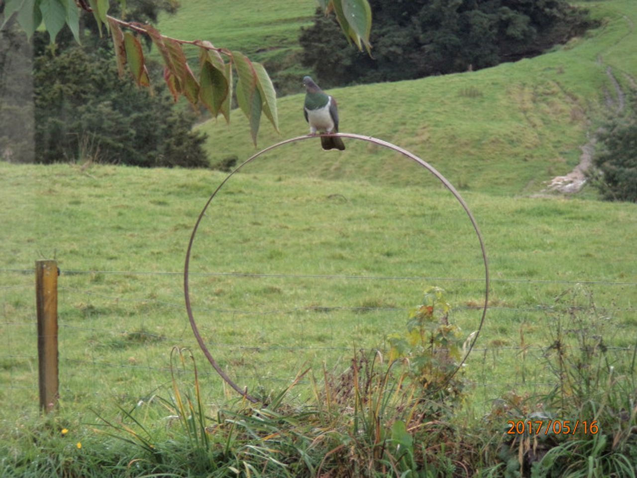 Idyllic Cottage Rental on a 400-Acre Farm in Taumarunui, North Island