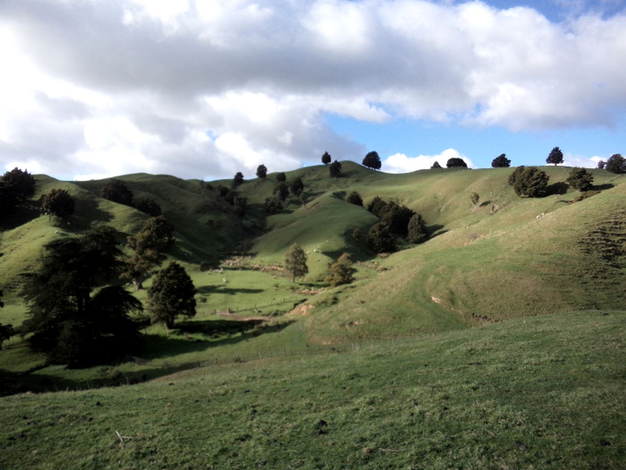 Idyllic Cottage Rental on a 400-Acre Farm in Taumarunui, North Island