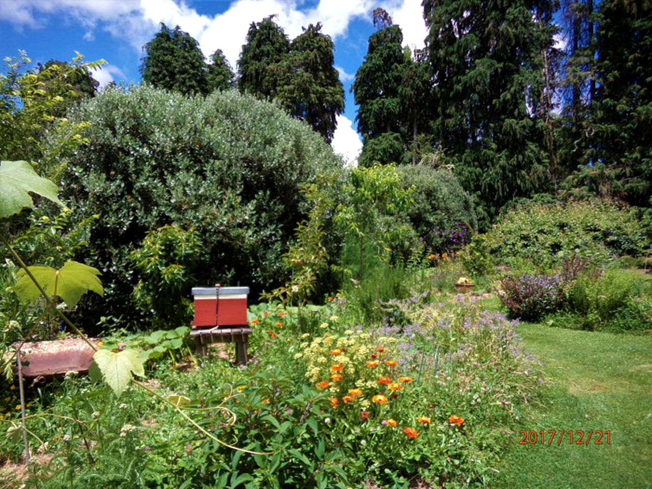 Idyllic Cottage Rental on a 400-Acre Farm in Taumarunui, North Island