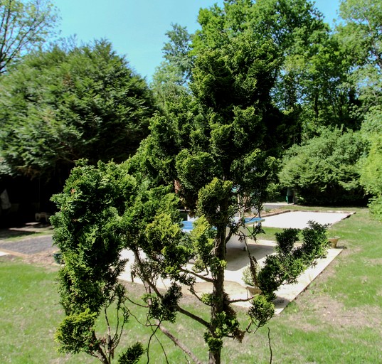 Cottages (France, Nemours, Île-de-France)