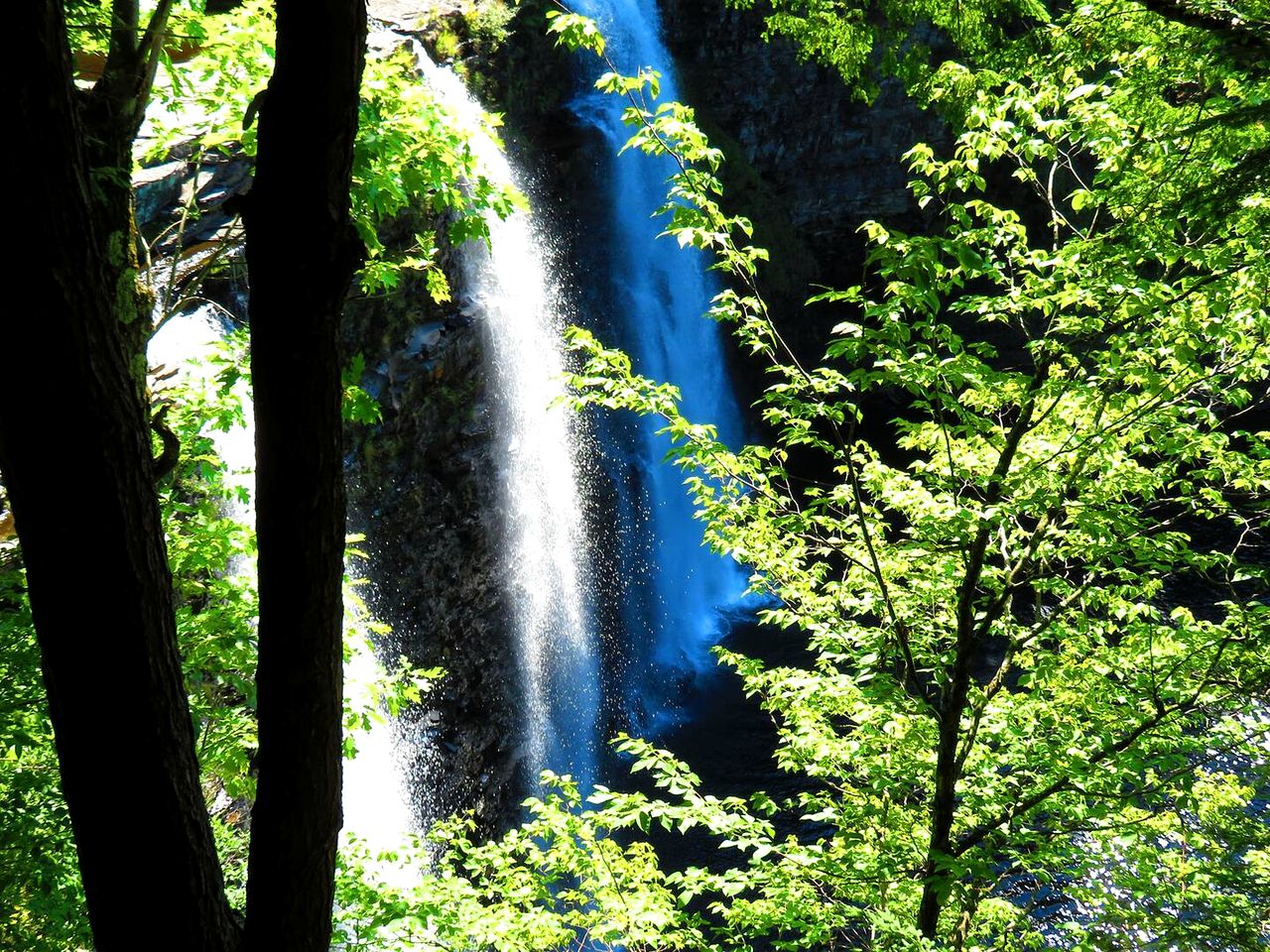 Cozy Three-Bedroom Cabin Near The Salmon River in Altmar, New York