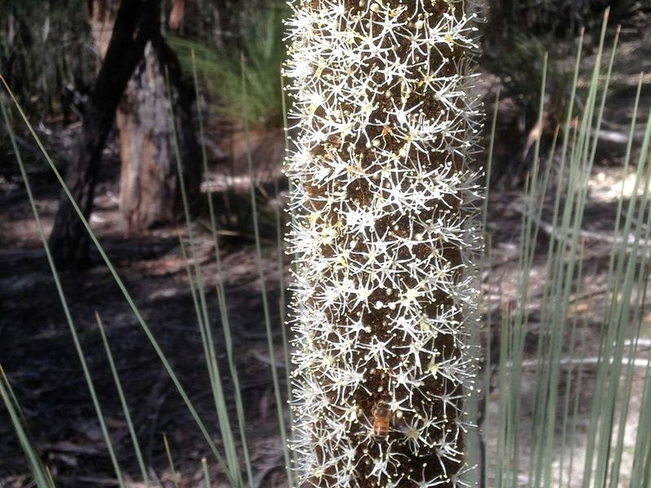 Amazing Holiday Cottage for Eight Guests on Bruny Island, Tasmania