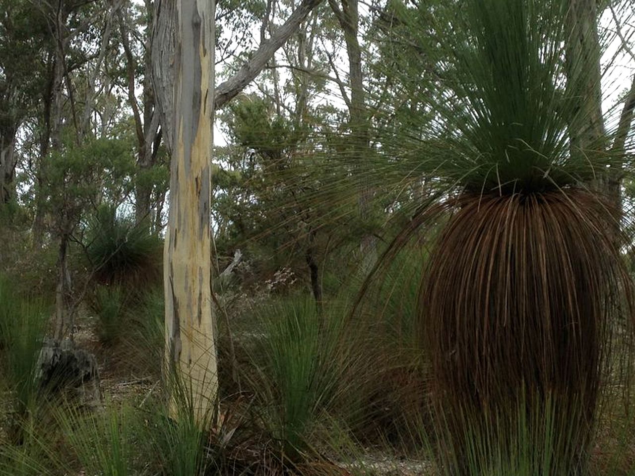 Amazing Holiday Cottage for Eight Guests on Bruny Island, Tasmania