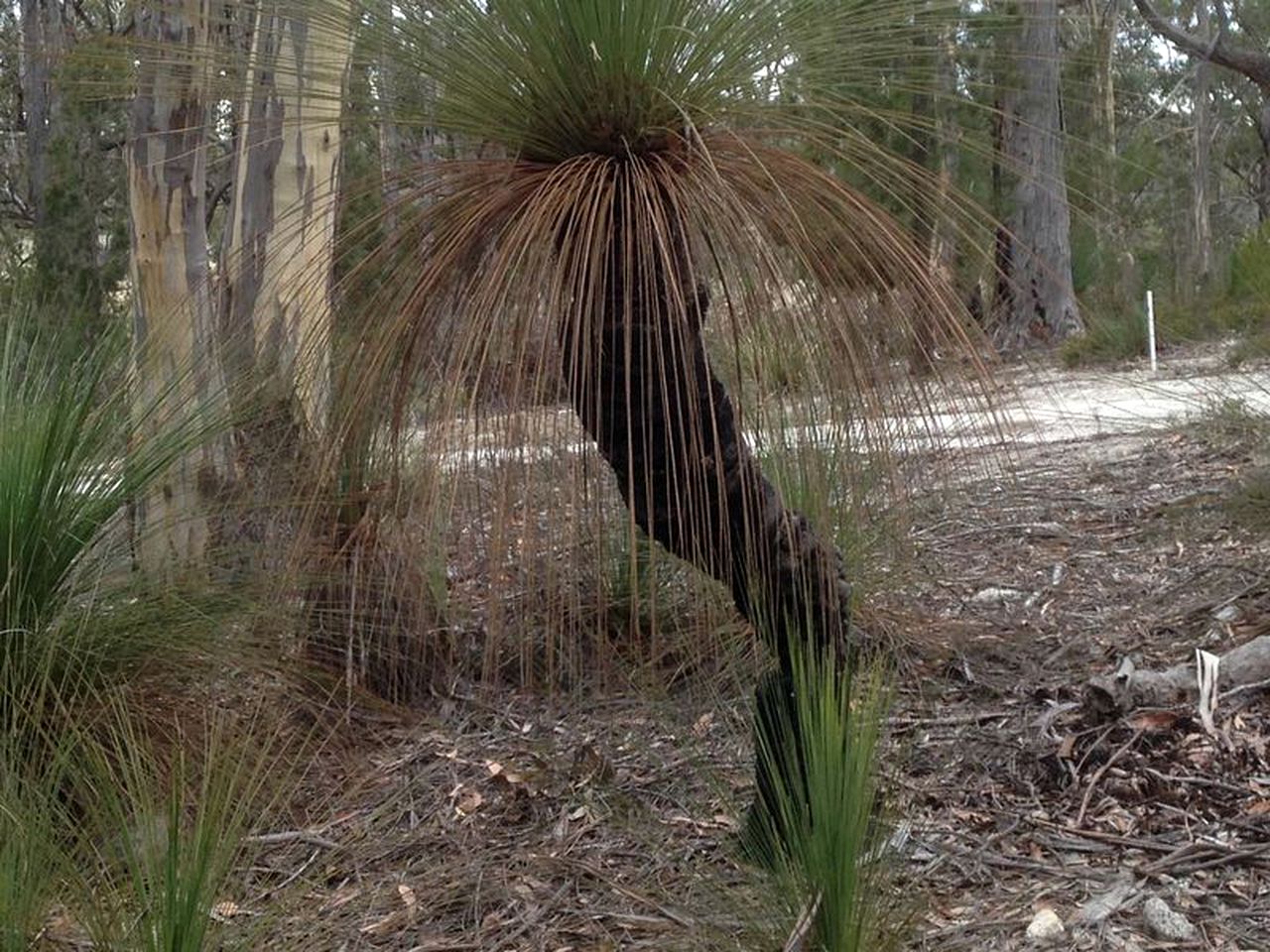 Amazing Holiday Cottage for Eight Guests on Bruny Island, Tasmania