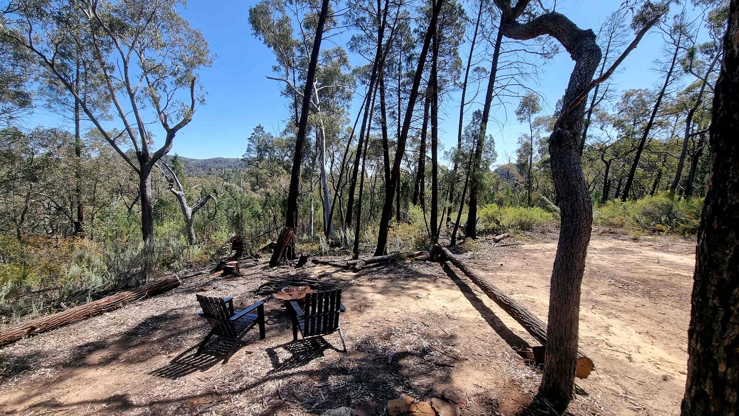 Delightful Tiny House with Fire Pit and Amazing Stargaze in NWS