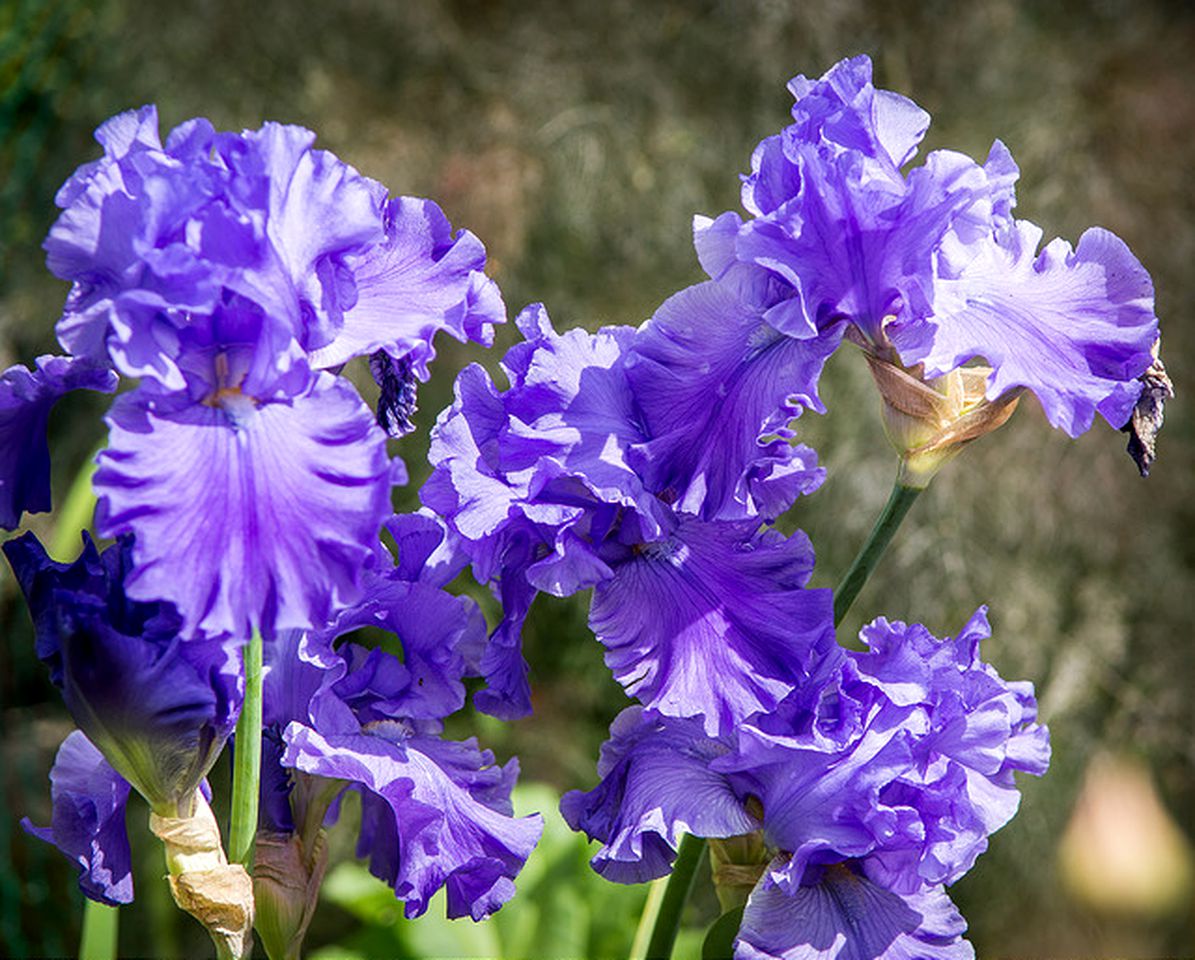 Cozy Vacation Rental with Views in Haida Gwaii, British Columbia