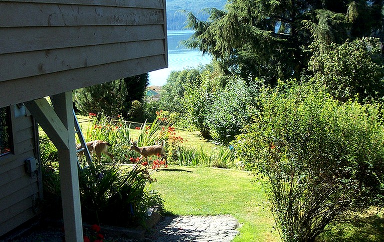 Nature Lodges (Queen Charlotte, British Columbia, Canada)